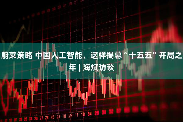 蔚莱策略 中国人工智能，这样揭幕“十五五”开局之年 | 海斌访谈
