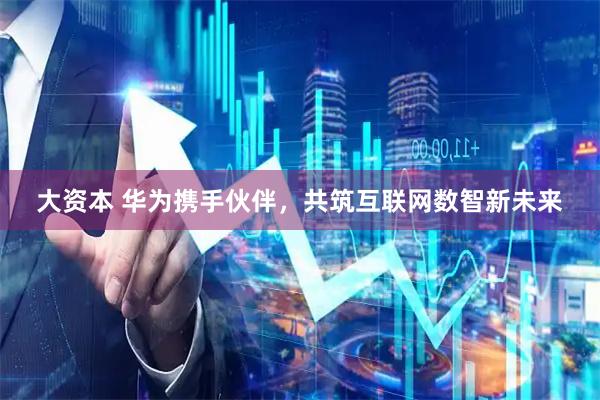 大资本 华为携手伙伴，共筑互联网数智新未来