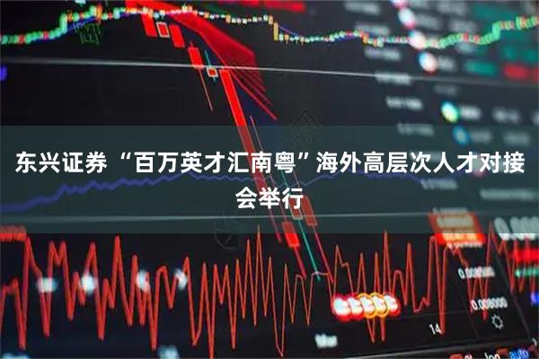 东兴证券 “百万英才汇南粤”海外高层次人才对接会举行