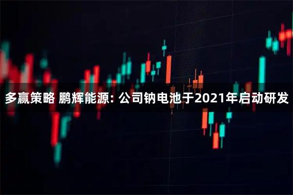 多赢策略 鹏辉能源: 公司钠电池于2021年启动研发