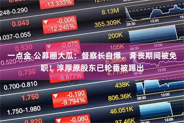 一点金 公募圈大瓜：督察长自爆，奔丧期间被免职！淳厚原股东已轮番被踢出
