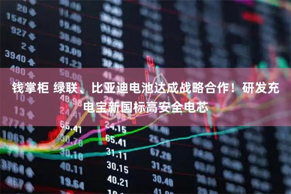 钱掌柜 绿联、比亚迪电池达成战略合作！研发充电宝新国标高安全电芯