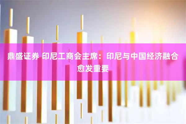 鼎盛证券 印尼工商会主席：印尼与中国经济融合愈发重要